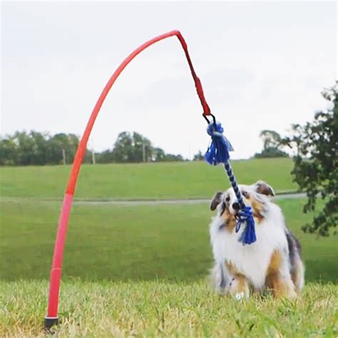 Tether Tug | Interactive Dog Rope Toy That Keeps Your Dog Active All ...