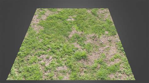 Grass Ground V - 3D model by ProjectNature [b1c6e4f] - Sketchfab