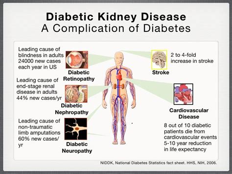 Protecting the Kidney in Diabetes