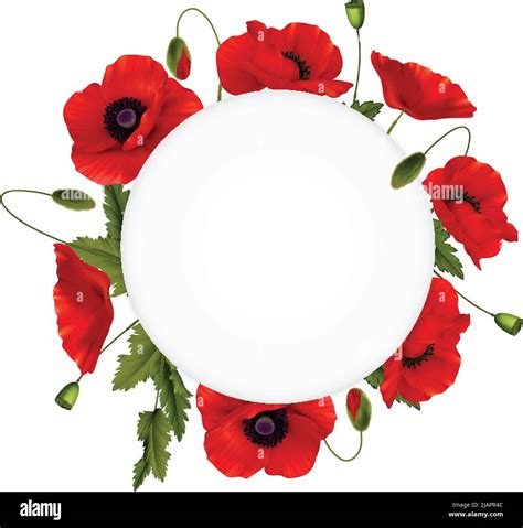 Remembrance day composition with frame consisting from red poppies flowers on white background ...