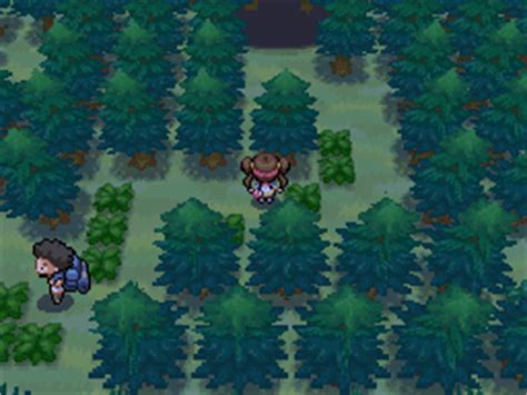 Pokemon black 2 rustling grass - gpseoseosc