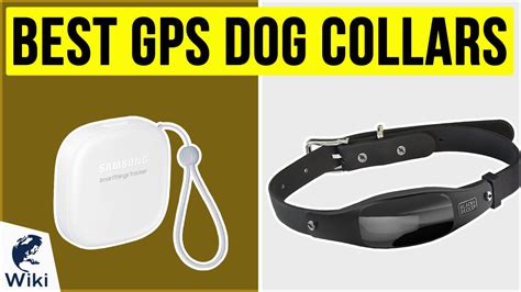 Top 10 GPS Dog Collars | Video Review