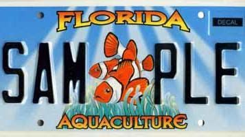 Florida Aquaculture | Specialty license plates, License plate, Florida ...