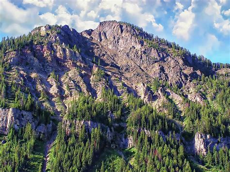 Gallatin National Forest Photograph by Anthony Dezenzio