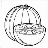 Cantaloupe Outline Black And White Cute coloring Book  Premium AI sketch template