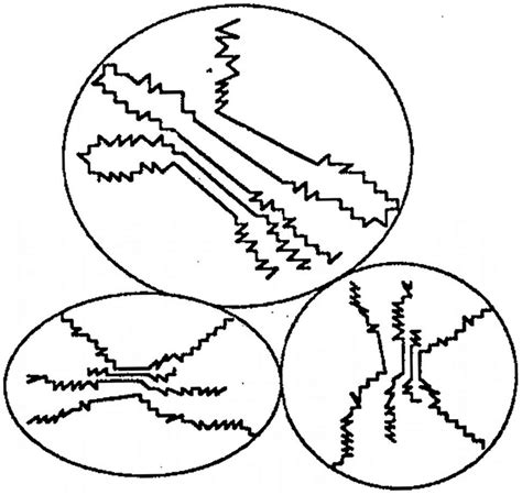 Asphaltene structure d duc d from microscopic and macroscopic... | Download Scientific Diagram