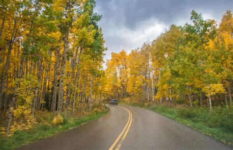 Fall Foliage Driving Routes – Good Grit Magazine