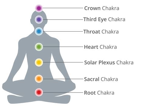 Location of chakras - Hinduism Stack Exchange