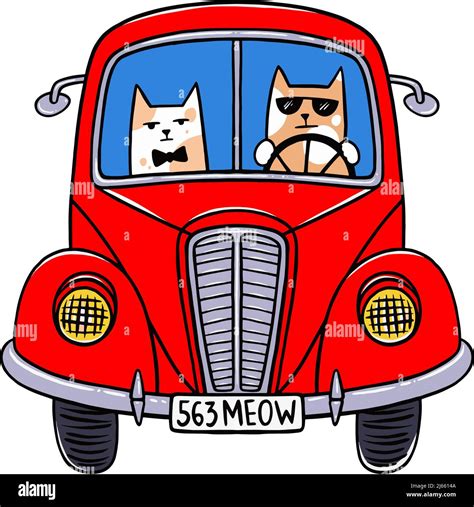 Cat car driving Stock Vector Images - Alamy