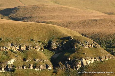 Mount Kenya National Park/Natural Forest | Natural World Heritage Sites