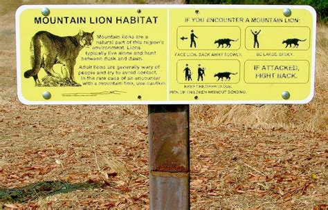 Mountain Lion Warning Instructions