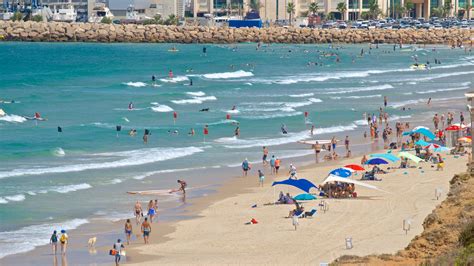 TOP Tel Aviv Beach Resorts for 2021 - Book with Free Cancellation on Select Hotels on the Beach ...