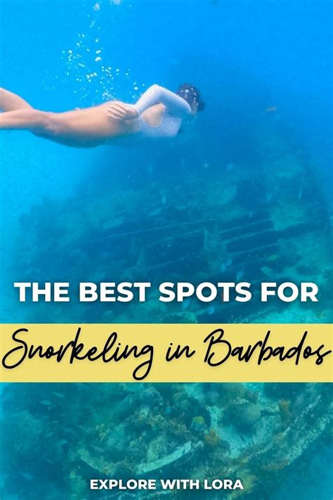 Snorkeling in Barbados | Best Beaches to Snorkel in Barbados in 2023 | Barbados travel ...