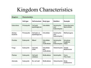 Domains and kingdoms chart