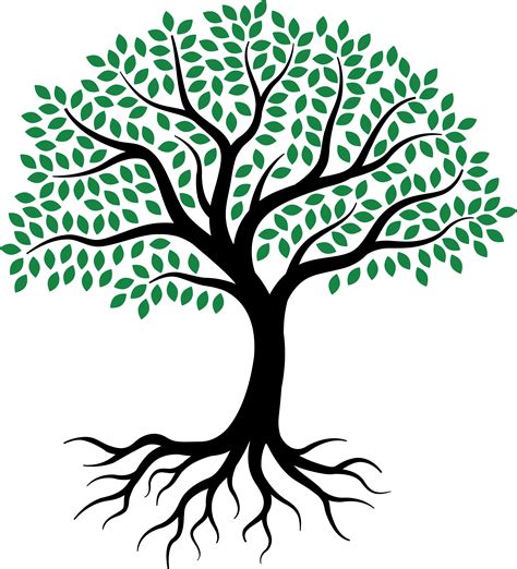 Drawing Root Tree Sketch - tree of life png download - 2387*2633 - Free ...