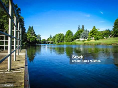 Aliran Sungai Meander Yang Tenang Di Deloraine Tasmania Foto Stok - Unduh Gambar Sekarang - iStock