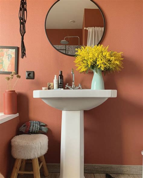 Bathroom terracotta | Terracotta bathroom, Painting bathroom, Bathroom colors