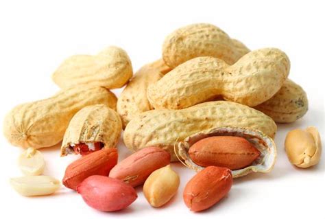 Jumbo Raw Peanuts in Shell • Bulk Peanuts • Bulk Nuts & Seeds • Oh! Nuts®