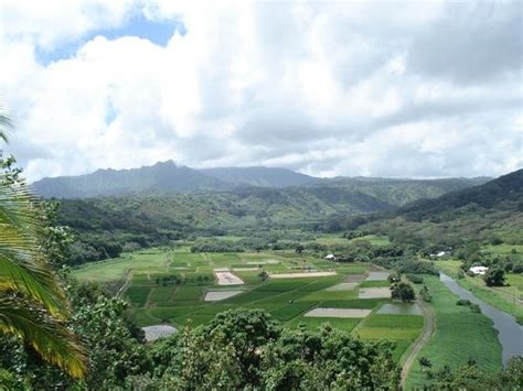 Hanalei Valley Lookout - All You Need to Know BEFORE You Go - Updated 2020 (HI) - Tripadvisor