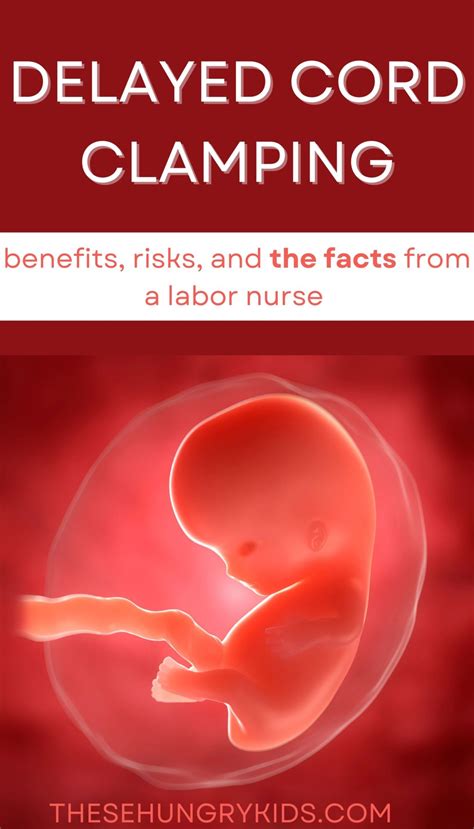 Delayed Cord Clamping: What's It About? - These Hungry Kids