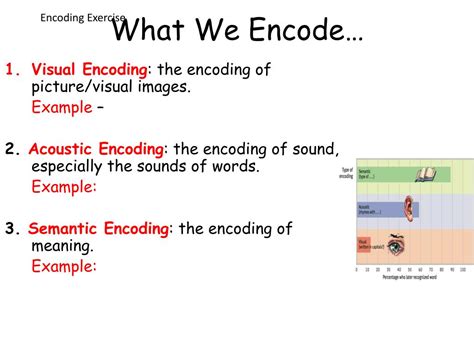 What is encoding in memory - fervillage