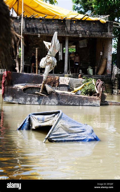 Kosi river flood , Koshi , Purnea , Purnia district , Bihar , India ...