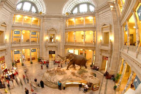 Un paseo por el Museo Nacional de Historia Natural de los Estados Unidos