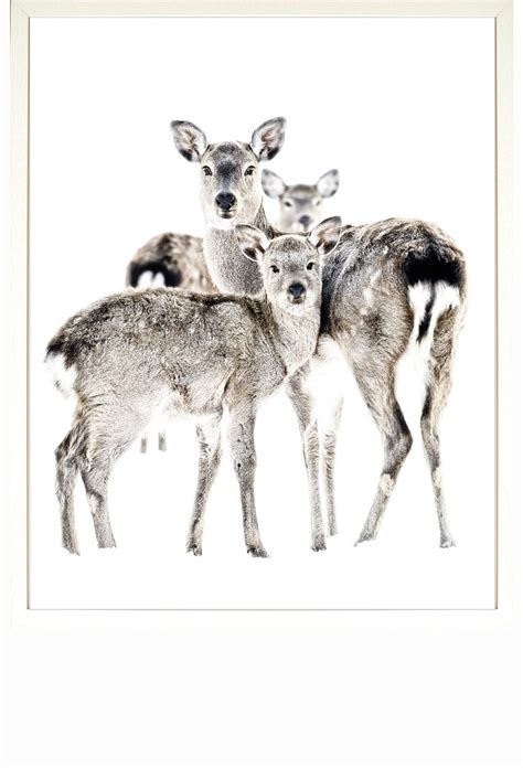 Deer Family Drawing at PaintingValley.com | Explore collection of Deer ...