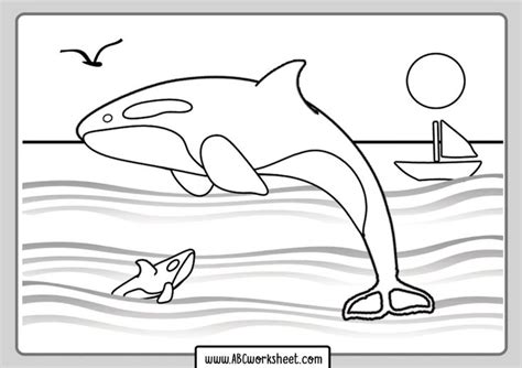 67+ Free Printable orca coloring pages - SabikaJayne