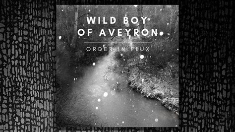 REALGREY RECORDS RECORDING STUDIO | WILD BOY OF AVEYRON