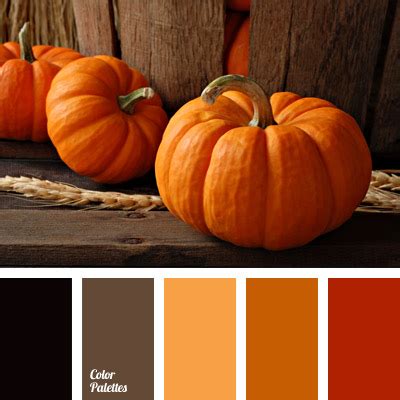 Halloween colors | Color Palette Ideas