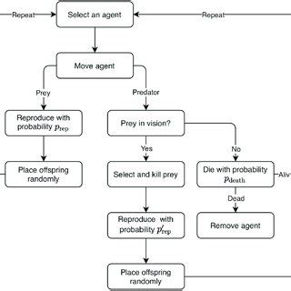 Simulation of predator-prey model. (A) Snapshot of the state of the ...