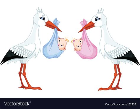 Stork baby Royalty Free Vector Image - VectorStock