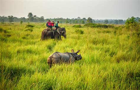 Chitwan and Ghandruk Trek - 10 Days | kimkim