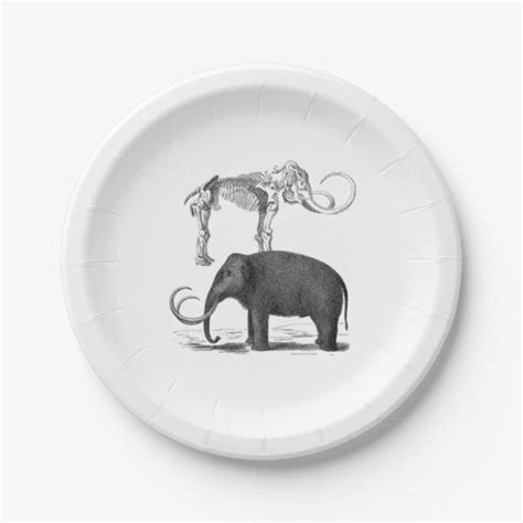 Woolly Mammoth Pre-Historic Elephant and Skeleton Paper Plate | Zazzle