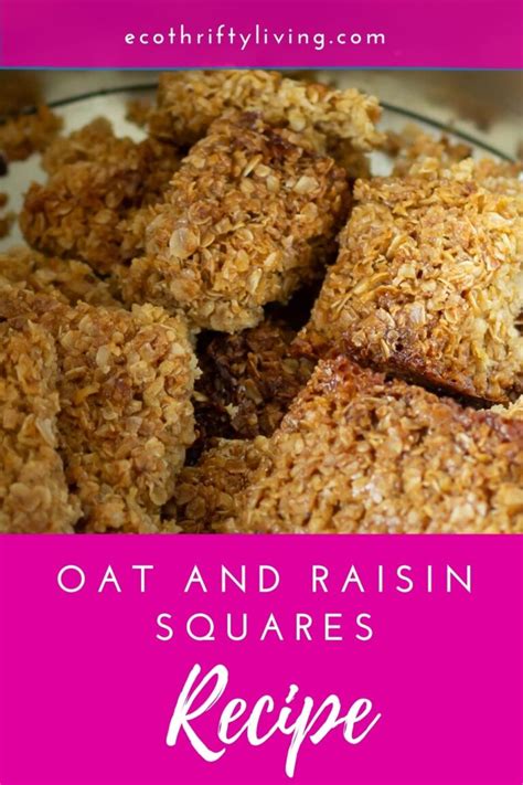 Oat and raisin squares recipe! - Eco Thrifty Living perfect lunchbox food