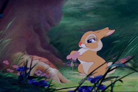 Image - Bambi 329.jpg | Disney Wiki | FANDOM powered by Wikia