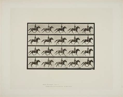 EADWEARD MUYBRIDGE, 1830-1904 | 'Animal Locomotion, Plate 573, 591, and ...