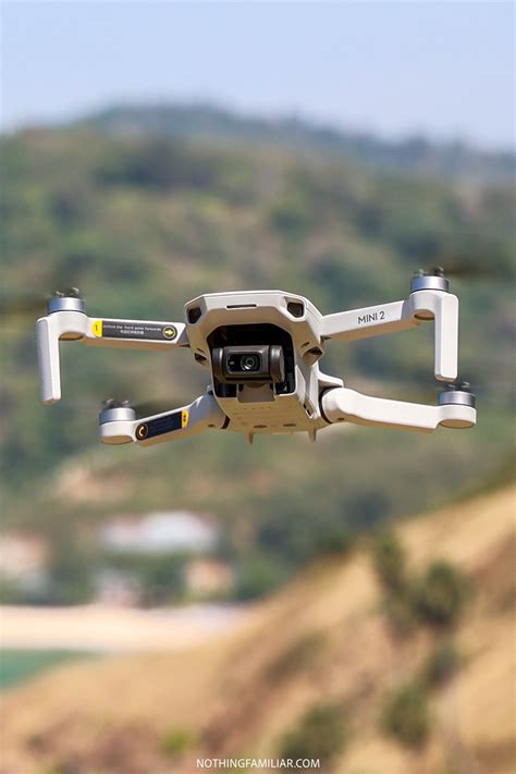 DJI Mini 2 Review: Is it the Best Small Drone to Travel With?