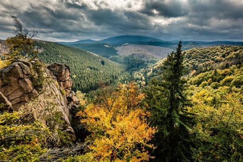 Welcome | Harz National Park | Nationalpark Harz