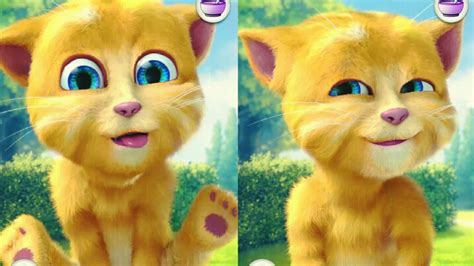 talking ginger cat game 🐥🐈🐤🐈🐣🍁🍀🍂🌾🌴🥦🌻🌿🏝️#talkingginger #talkingtom # ...