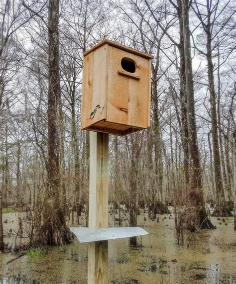 Wood Duck Nesting Box Handcrafted Cedar Duck Nest Box Bird - Etsy | Wood ducks, Wood duck house ...