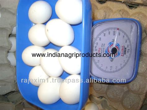 White Eggs Price in India,India price supplier - 21food