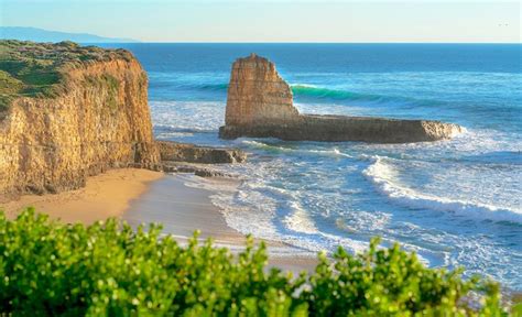 10 Best Beaches in Santa Cruz, CA | PlanetWare