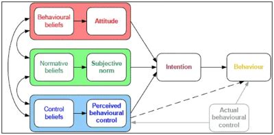 Consumer Behavior and the Theory of Planned Behavior