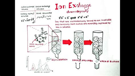 Anion Exchange Chromatography Principle - Design Talk