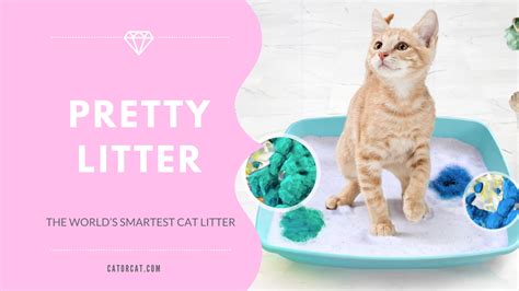 Pretty Litter Review | The World’s Smartest *Health Monitoring* Cat Litter