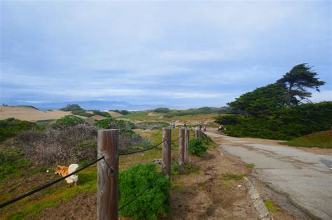 Fort Funston Upper Trails