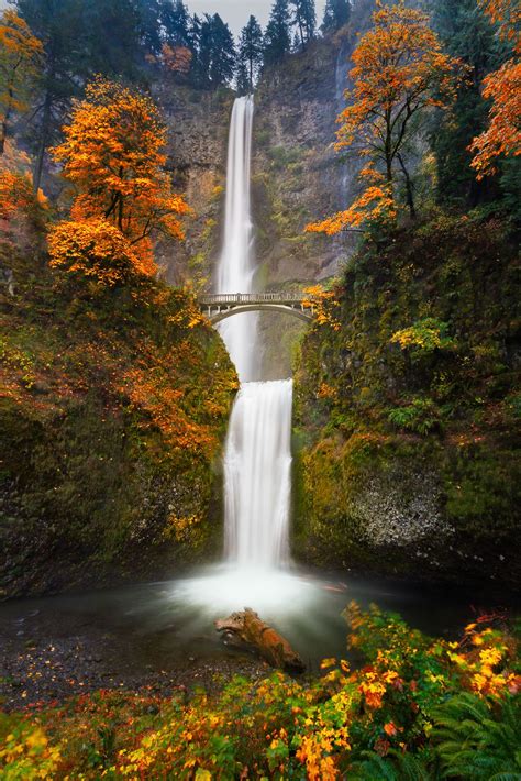 Multnomah Falls in Autumn colors | Autumn scenery, Waterfall, Scenery