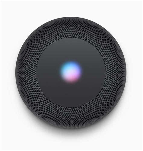 Apple HomePod Siri Speaker – wordlessTech